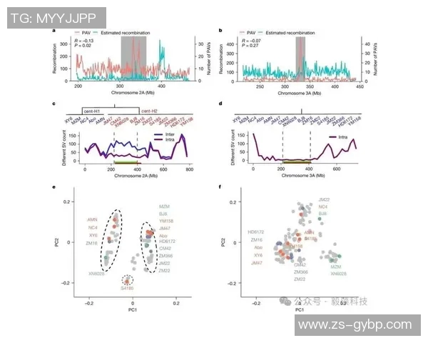 职业赛车手反应时间与成绩波动的高频数据分析 职业赛车手反应时间与成绩波动的高频数据分析